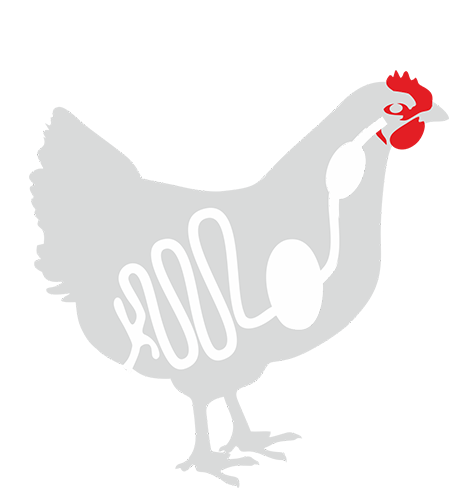 Курица - изображение NITA FARM